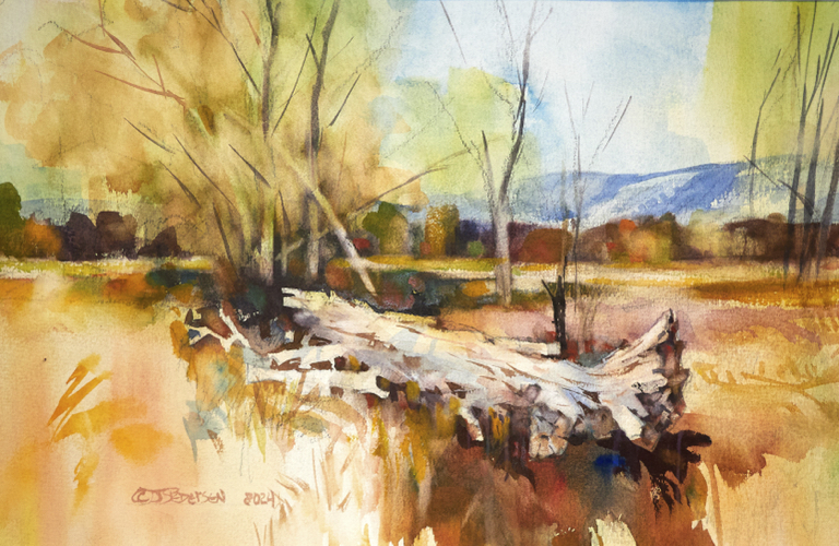 Field Snag, East Boulder
2025   &frac12; Sheet
Art approx: 14x20&rdquo;
Frame approx: 22x28 or 20x26