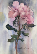 PTG-Summer Roses 2025-2.jpg