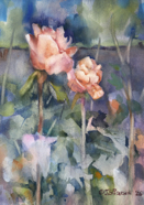 PTG-Summer Roses 2025-1.jpg